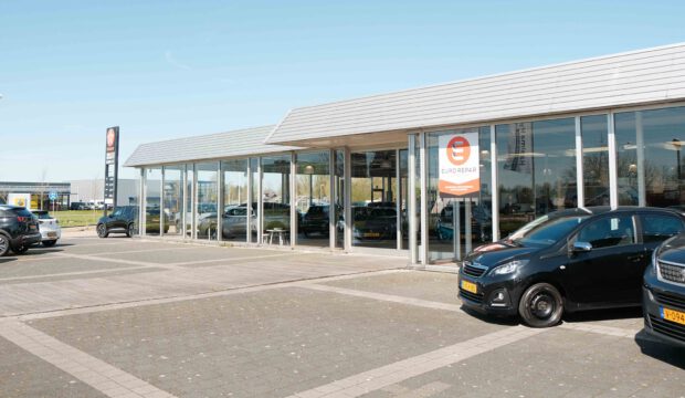 haaima hylkema dokkum in het zonnetje